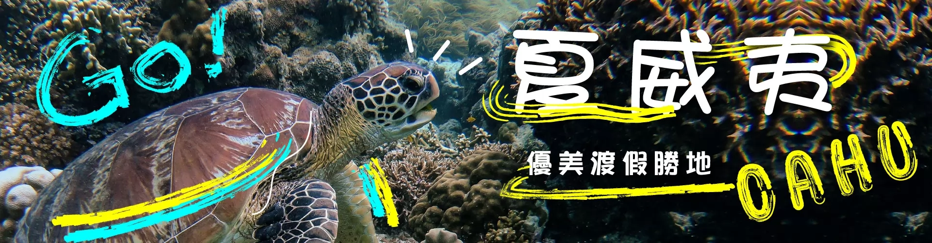 XO Tours 夏威夷旅游团 (Hawaii)